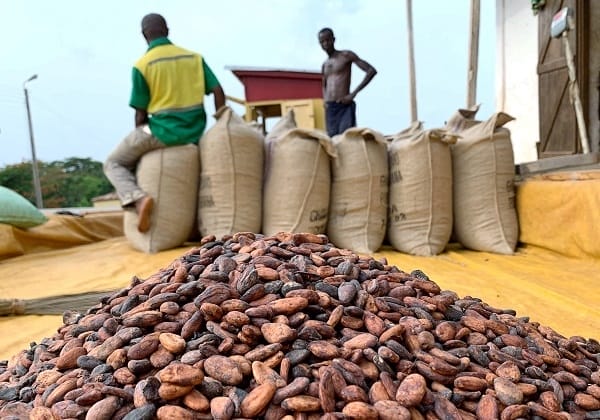 Ghana surpasses $3bn in exports as cocoa processing fuels industrial shift