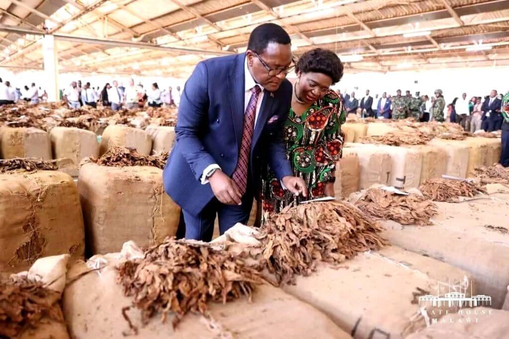 Malawi’s tobacco revenue jumps 37% despite softer global prices