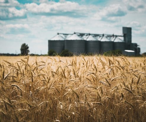 Egypt secures $1.5bn ITFC financing deal to strengthen food and energy security