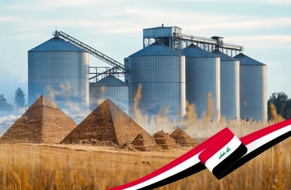 Egypt moves to become global grain trading and storage powerhouse