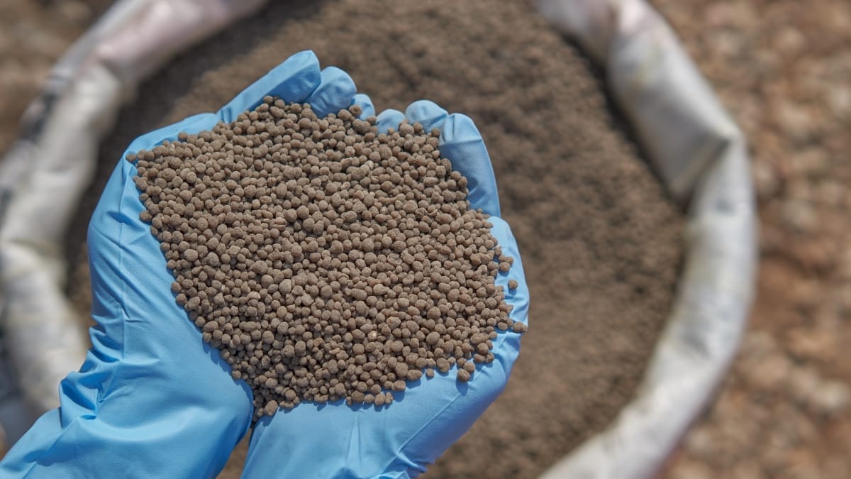 Morocco eyes export boost as U.S. weighs lifting phosphate fertilizer duties