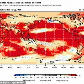 El Niño could return as early as May, raising risk of global weather disruption